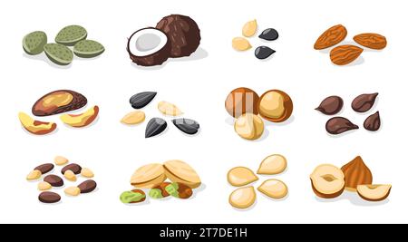 Noci e semi. Snack alimentari sani, noci arrostite colorate e semi secchi, cibo vegetariano sano, noci e concetto di nutrizione dei semi. Insieme di vettori Illustrazione Vettoriale