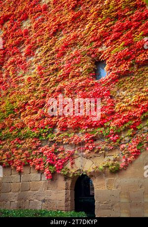 Facciata del palazzo Olite e del castello di Navarra, Spagna, ricoperta di vite in autunno, con colori rossastri, gialli e verdastri Foto Stock