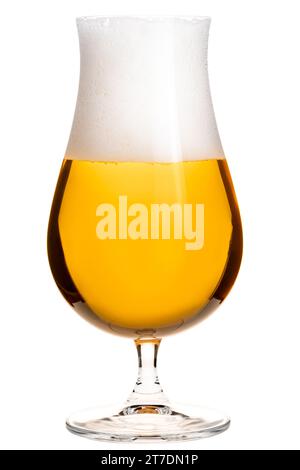 Bicchiere di birra lager pilsner a forma di tulipano isolato su uno sfondo bianco Foto Stock