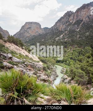 Vista della gola di El chorro dalla passerella Caminito del Rey Foto Stock