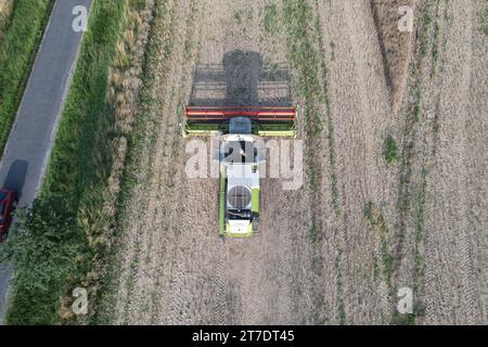 Vista aerea di una mietitrebbia che lavora su un campo nella Repubblica Ceca per la raccolta di un prodotto Foto Stock