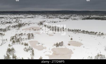 Una vista panoramica aerea del paesaggio innevato della palude di Kakerdaja a Korvemaa, Estonia Foto Stock