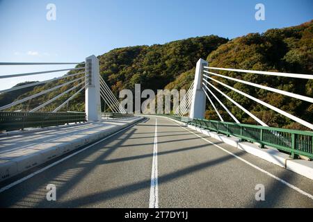 Ponte Chojaga sull'isola di Sado nella prefettura di Niigata, Giappone. Foto Stock