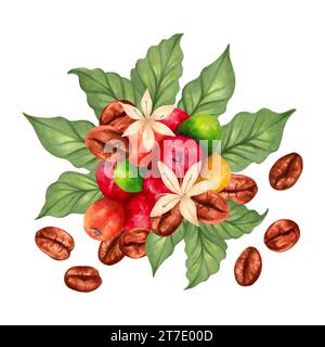 Composizione di bacche di caffè arabica e robusta con chicchi di caffè e foglie con fiori. Illustrazione del marcatore ad acquerello. Giorno del caffè. Prod Foto Stock