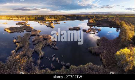 Panorama aereo dell'alba al tramonto presso paludi e paludi, paesaggio del lago bog. Foto Stock