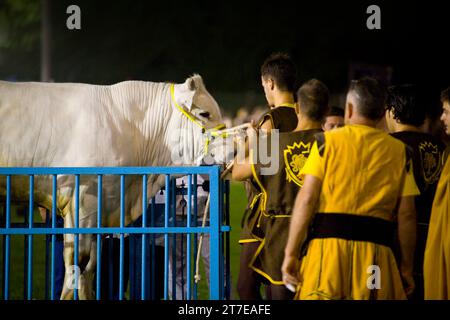Fuga dal bue. Montefalco. Umbria. Italia Foto Stock