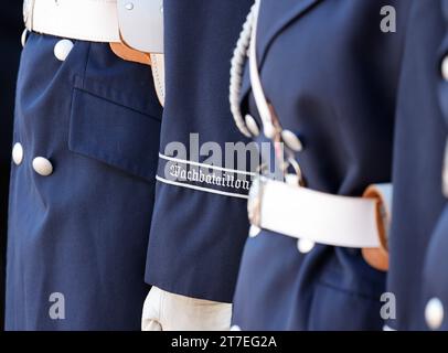 Bonn, Germania. 15 novembre 2023. I soldati della formazione onoraria del battaglione di guardia della Bundeswehr si trovano di fronte a Villa Hammerschmidt per l'accoglienza del presidente finlandese Niinistö da parte del presidente federale Steinmeier. Niinistö inizia una visita ufficiale di due giorni in Germania. Crediti: Thomas Banneyer/dpa/Alamy Live News Foto Stock