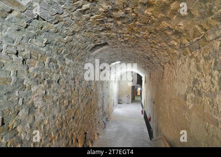 Sotterraneo del Palazzo Ducale sede dell'Università. Spogliatoio. Marche. Italia Foto Stock