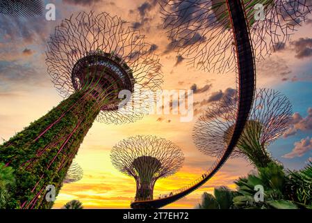 Singapore - 30 APRILE 2018: Supertree Grove su un cielo blu nel Garden by the Bay al tramonto, Singapore. Foto Stock