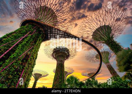 Singapore - 30 APRILE 2018: Supertree Grove su un cielo blu nel Garden by the Bay al tramonto, Singapore. Foto Stock