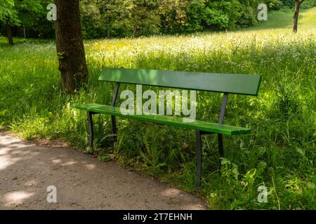 Panca verde vuota circondata da prati e alberi lussureggianti Foto Stock