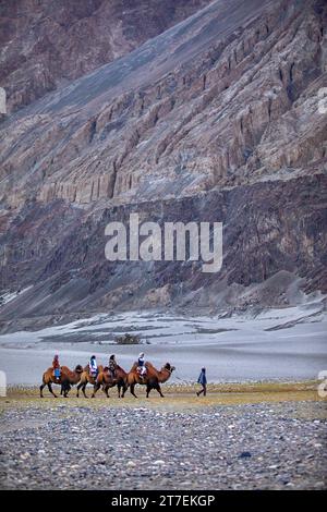 Hunder (Hundar) - Dune di sabbia di Ladakh, India. Un gruppo di persone ama cavalcare un cammello a piedi su una duna di sabbia a Hunder, vicino al villaggio Diskit di Ladakh. Foto Stock