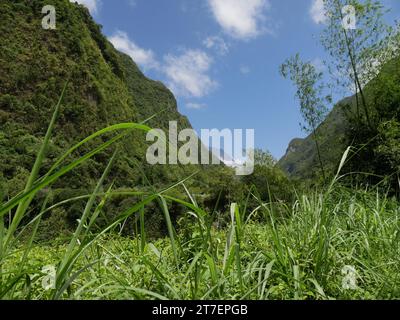 Canyon e imponenti pareti vegetali sulla strada per Salazie, isola di riunione, Francia. Paesaggio di montagna nell'isola delle Mascarene con piante tropicali Foto Stock