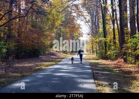 Un uomo cammina con il suo cane al guinzaglio su un sentiero asfaltato attraverso una scena autunnale di foglie che cambiano Foto Stock