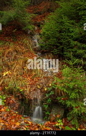 Piccolo torrente dalla collina vicino alla cascata di Ponikly dopo la pioggia notturna in autunno Foto Stock