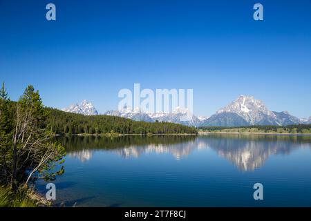 Catena montuosa del Grand Teton con pineta e lago riflettente di fronte Foto Stock