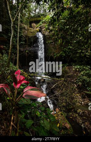 Goa Gajah - Grotta degli elefanti. Questo complesso templare simile a un parco offre uno splendido giardino con alberi secolari e piante tropicali. Grandi sentieri incantati di Bali Foto Stock