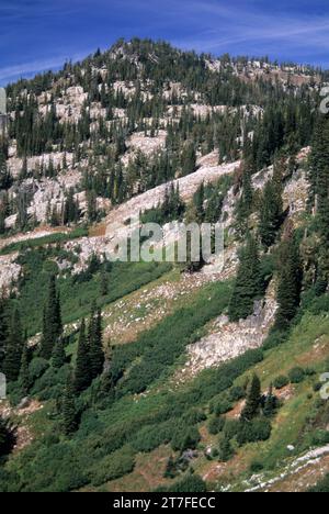 Cresta sopra West Eagle Creek, Eagle Cap Wilderness, Wallowa-Whitman National Forest, Oregon Foto Stock