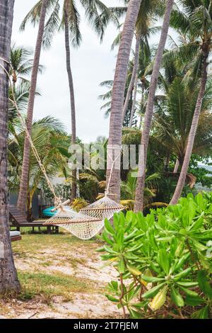 Un'amaca è sospesa dagli alberi di cocco per riposarsi e rilassarsi. Resort tropicale. Foto Stock