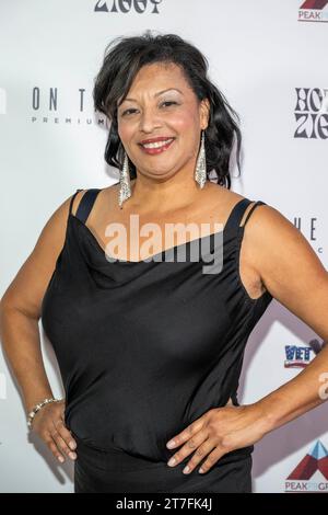 Los Angeles, USA. 11 novembre 2023. L'attrice Sasha Gary partecipa alla OTR Presents Comedians for Veterans presso l'Hotel Ziggy, Los Angeles, CA 11 novembre 2023 Credit: Eugene Powers/Alamy Live News Foto Stock