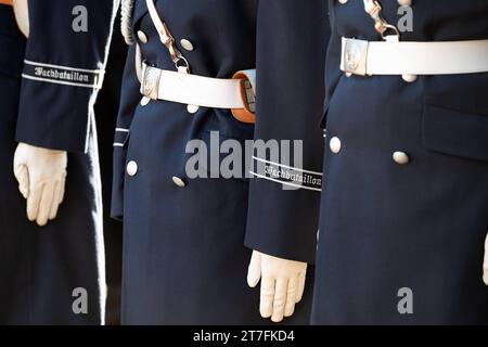 DAS Wachbataillon der Bundeswehr, in der Villa Hammerschmidt a Bonn, 15.11.2023. *** Il battaglione della Guardia delle forze armate tedesche, nella Villa Hammerschmidt a Bonn, 15 11 2023 credito: Imago/Alamy Live News Foto Stock