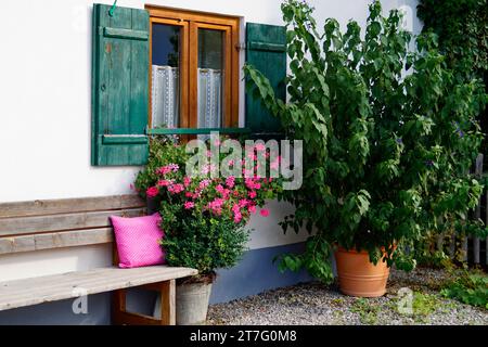 Romantico e tradizionale casale alpino bavarese con gerani sulla finestra, panca in legno con cuscino rosa e albero lussureggiante, Schwangau, Baviera Foto Stock