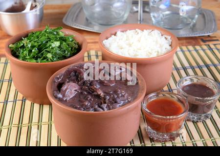 Delizioso cibo brasiliano feijoada con fagioli, maiale, pancetta, salsiccia con cavolo, riso, insalata, spezie e pepe. cucina rustica Foto Stock