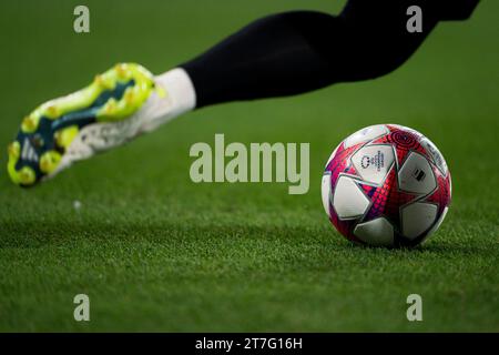 Sant Joan Despi, Spagna, 14 novembre 2023. Spagna-calcio-donne Champions League-gruppo A-FC Barcelona contro SL Benfica. Crediti: Joan Gosa/Alamy Live News Foto Stock