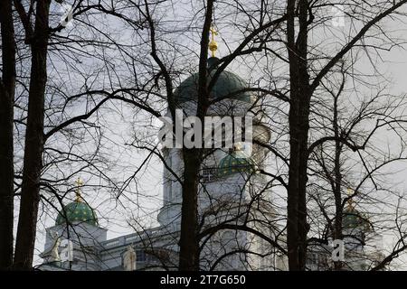 Cupole della cattedrale di Helsinki dietro sagome di alberi in autunno Foto Stock
