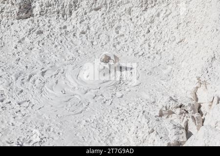 Bolle di fango nei paintpot degli artisti nel parco nazionale di Yellowstone Foto Stock