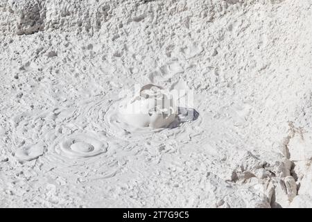 Bolle di fango nei paintpot degli artisti nel parco nazionale di Yellowstone Foto Stock