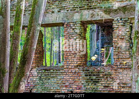 Wolf's Lair è una città di bunker circondata da foreste, laghi e paludi. Questo è il comando sul campo più grande e riconoscibile di Adolf Hitler. Foto Stock