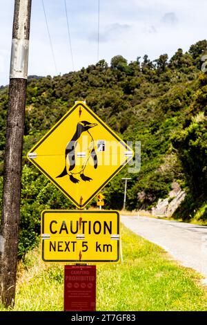 Il villaggio di pescatori di Jackson Bay offre viste spettacolari dell'oceano e delle Alpi meridionali, importante area ornitologica per i pinguini di Fiordland Foto Stock