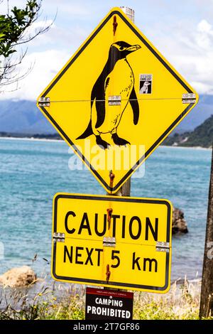 Il villaggio di pescatori di Jackson Bay offre viste spettacolari dell'oceano e delle Alpi meridionali, importante area ornitologica per i pinguini di Fiordland Foto Stock