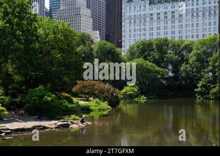 Il Central Park di New York City Foto Stock