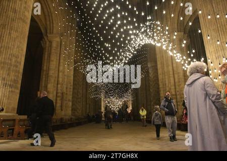 Durham Cathedral nave, Lumiere - Pluse Topology, artista Rafael Lozano-Hemmer (MESSICO/CANADA) l'arte incontra la scienza come la cattedrale di Durham diventa il cuore pulsante di Lumiere, Durham City, Regno Unito, 15 novembre 2023, credito: DEW/Alamy Live News Foto Stock