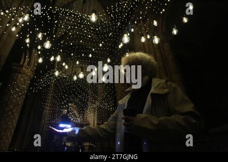 Durham Cathedral nave, Lumiere - Pluse Topology, artista Rafael Lozano-Hemmer (MESSICO/CANADA) l'arte incontra la scienza come la cattedrale di Durham diventa il cuore pulsante di Lumiere, Durham City, Regno Unito, 15 novembre 2023, credito: DEW/Alamy Live News Foto Stock