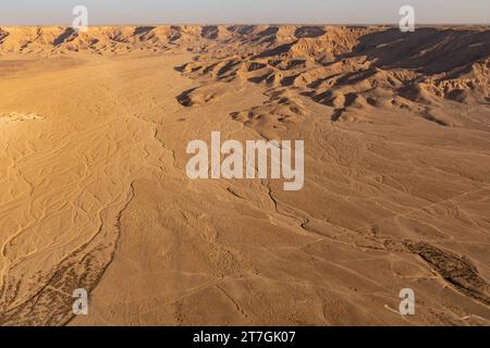 Vista aerea del deserto arido con lavaggi di fiume asciutti intrecciati e montagne erose Foto Stock