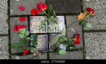 Pietre inciampo dell'artista di Colonia Gunter Demnig in memoria di ebrei assassinati nel terzo Reich, Roseb rosso, Magdeburgo, Sassonia-Anhalt, Germania Foto Stock