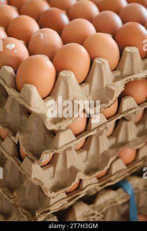 uova impilate nei vassoi della carta vista ravvicinata al supermercato. Foto Stock