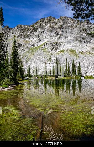 OR02768-00...OREGON - gli alberi che si riflettono sul lago Laverty nell'Eagle Cap Wilderness fanno parte della Wallowa-Whitman National Forest. Foto Stock