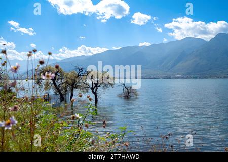 Paesaggio del lago di Erhai, situato a Dali, Yunnan, Cina. Foto Stock