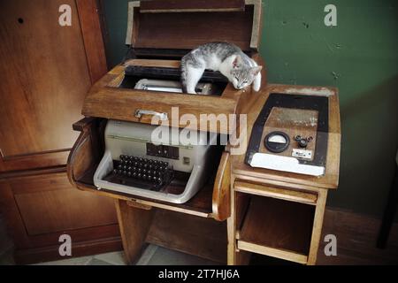 Siemens Fernschreiber T100 Teleprinter con armadio in legno e gatto in cima, stazione Mokra Gora, Sargan Eight, Serbia Foto Stock