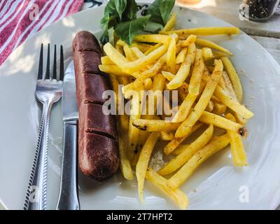 Pranzo economico in un ristorante di Otjiwarongo, Namibia, con una salsiccia di hotdog di carne kudu e patatine fritte. Foto Stock