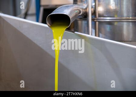 Tubo in acciaio inox che versa olio di oliva vergine fresco a caldo pressato Foto Stock