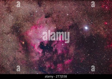 La Nebulosa del Nord America (a sinistra del centro) e il complesso Pelican Nebula (al centro) a Cygnus, incorniciati dalla brillante stella Deneb. L'Arco di Cygnus di i Foto Stock