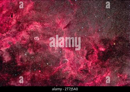Questa è la ricca area di nebulosità nel Cygnus centrale che comprende la Nebulosa Crescent (nota anche come NGC 6888) a sinistra e la Nebulosa Tulip (nota anche come Sharpless 2- Foto Stock