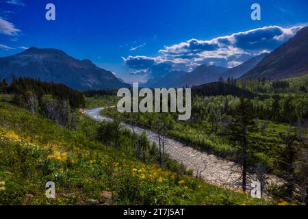 Una scena illuminata dalla luna di fiori selvatici di balsamroot gialli che soffiano al vento in una notte illuminata dalla luna nella Blakiston Valley nel Waterton Lakes National Park, Alber Foto Stock
