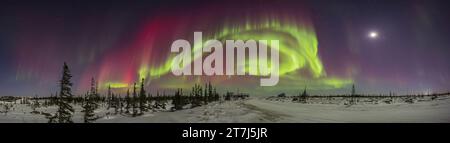 Un panorama a 220° di un'aurora colorata in una notte Kp6 il 26 febbraio 2023, dal Churchill Northern Studies Centre, Churchill, Manitoba, a 58° N. Foto Stock