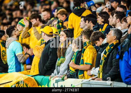 Melbourne, Victoria, Australia. 16 novembre 2023. MELBOURNE, AUSTRALIA - 16 NOVEMBRE: Atmosfera durante la partita di qualificazione della Coppa del mondo FIFA 2026 tra Australia Socceroos e Bangladesh all'AAMI Park il 16 novembre 2023 a Melbourne, Australia (immagine di credito: © Chris Putnam/ZUMA Press Wire) SOLO PER USO EDITORIALE! Non per USO commerciale! Foto Stock